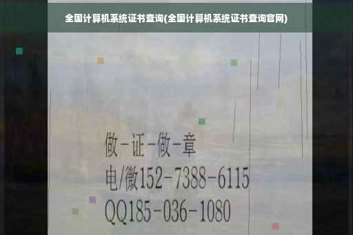 全国计算机系统证书查询(全国计算机系统证书查询官网)