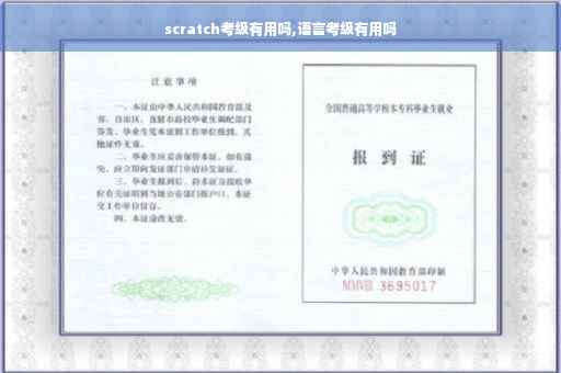 scratch考级有用吗,语言考级有用吗