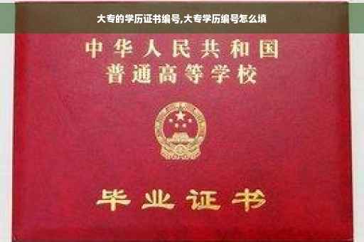 大专的学历证书编号,大专学历编号怎么填