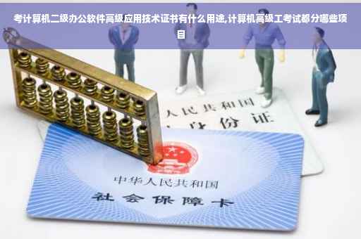 考计算机二级办公软件高级应用技术证书有什么用途,计算机高级工考试都分哪些项目