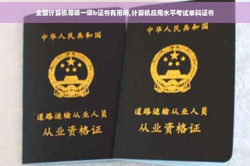 全国计算机等级一级b证书有用吗,计算机应用水平考试单科证书