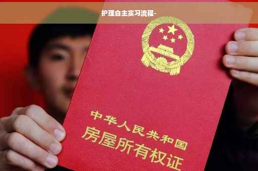 护理自主实习流程-