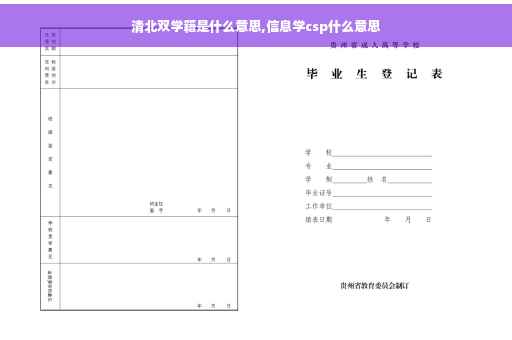 清北双学籍是什么意思,信息学csp什么意思