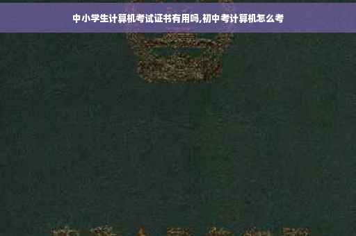 中小学生计算机考试证书有用吗,初中考计算机怎么考