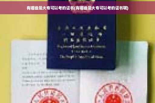 有哪些是大专可以考的证书(有哪些是大专可以考的证书呢)