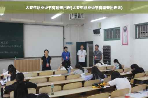 大专生职业证书有哪些用途(大专生职业证书有哪些用途呢)