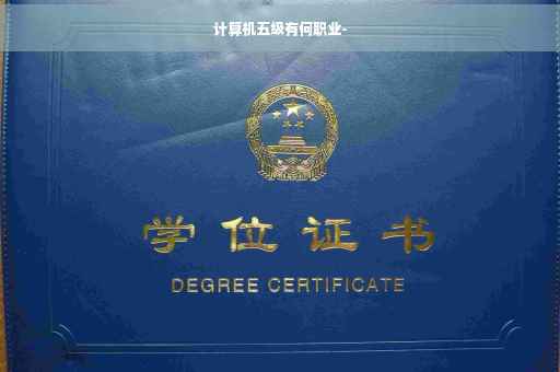 计算机五级有何职业-