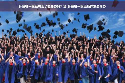 计算机一级证书丢了能补办吗？急,计算机一级证原件怎么补办