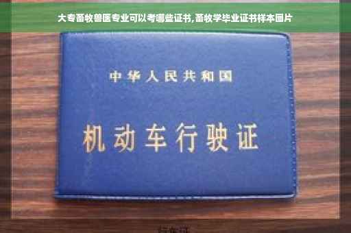 大专畜牧兽医专业可以考哪些证书,畜牧学毕业证书样本图片