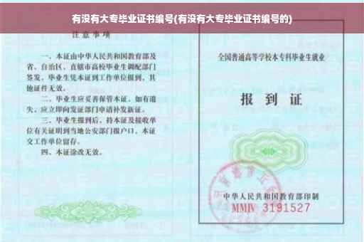 有没有大专毕业证书编号(有没有大专毕业证书编号的)