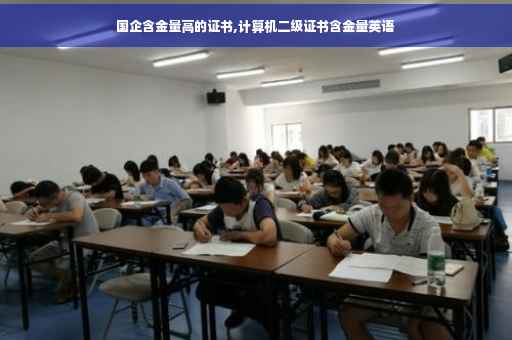 国企含金量高的证书,计算机二级证书含金量英语