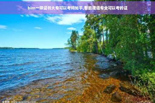 bim一级证书大专可以考吗知乎,智能建造专业可以考的证 bim一级证书大专可以考吗知乎,智能建造专业可以考的证