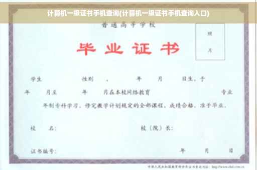 计算机一级证书手机查询(计算机一级证书手机查询入口)