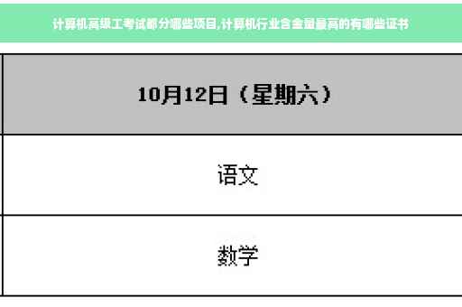 计算机高级工考试都分哪些项目,计算机行业含金量最高的有哪些证书