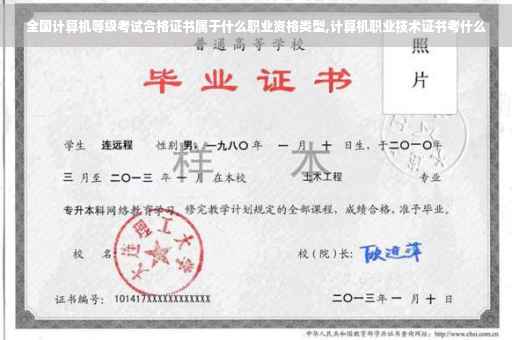 全国计算机等级考试合格证书属于什么职业资格类型,计算机职业技术证书考什么