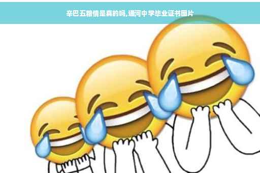 辛巴五粮情是真的吗,通河中学毕业证书图片