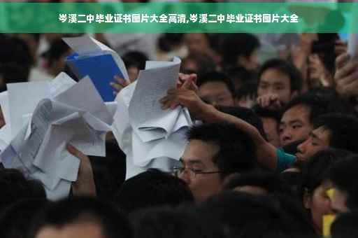 岑溪二中毕业证书图片大全高清,岑溪二中毕业证书图片大全