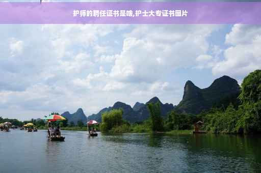 护师的聘任证书是啥,护士大专证书图片