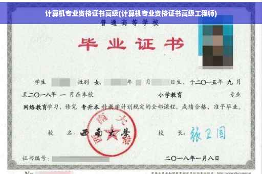 计算机专业资格证书高级(计算机专业资格证书高级工程师)