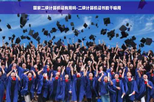 国家二级计算机证有用吗-二级计算机证书能干嘛用