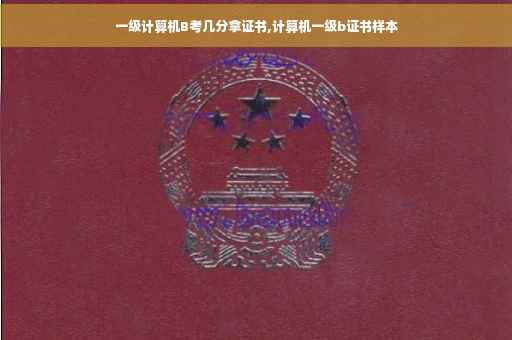 一级计算机B考几分拿证书,计算机一级b证书样本