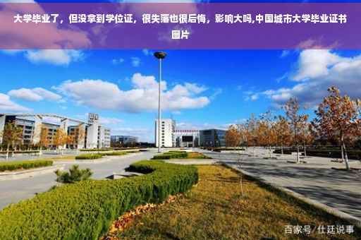 大学毕业了，但没拿到学位证，很失落也很后悔，影响大吗,中国城市大学毕业证书图片