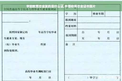 学前教育毕业发的是什么证,中等幼师毕业证书图片
