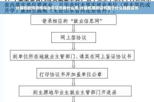 计算机软件资格与水平证书有什么用,计算机等级证书属于什么技能证书