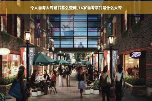 个人自考大专证书怎么查询,16岁自考拿的是什么大专