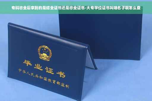 专科毕业后拿到的是结业证书还是毕业证书-大专学位证书叫啥名子啊怎么查