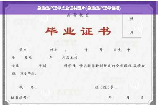 急重症护理学毕业证书图片(急重症护理学包括)
