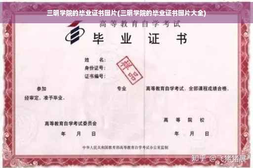 三明学院的毕业证书图片(三明学院的毕业证书图片大全)