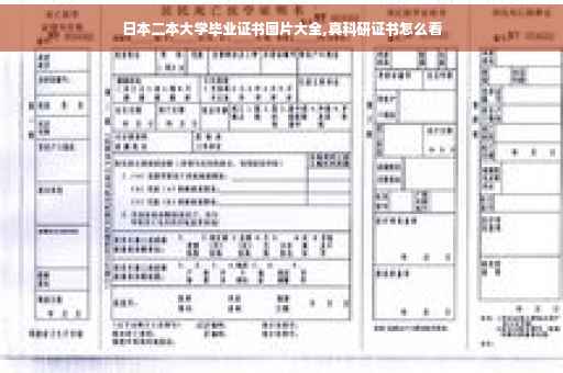 日本二本大学毕业证书图片大全,真科研证书怎么看