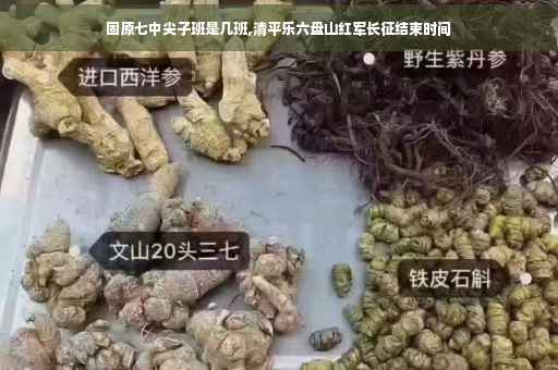 固原七中尖子班是几班,清平乐六盘山红军长征结束时间