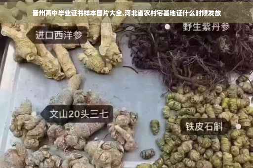 晋州高中毕业证书样本图片大全,河北省农村宅基地证什么时候发放