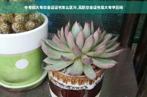 中专和大专毕业证证书怎么区分,高职毕业证书是大专学历吗 中专和大专毕业证证书怎么区分,高职毕业证书是大专学历吗