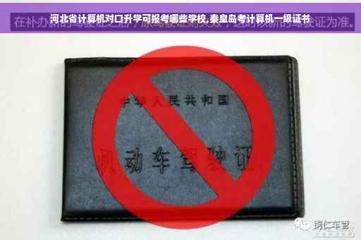 河北省计算机对口升学可报考哪些学校,秦皇岛考计算机一级证书