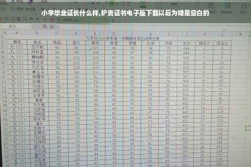 小学毕业证长什么样,护资证书电子版下载以后为啥是空白的