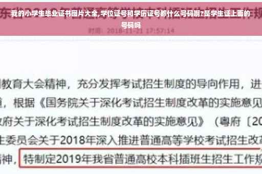 我的小学生毕业证书图片大全,学位证号和学历证号都什么号码啊?是学生证上面的号码吗
