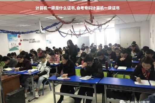 计算机一级是什么证书,自考专科计算机一级证书