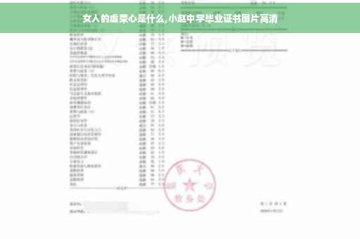 女人的虚荣心是什么,小赵中学毕业证书图片高清