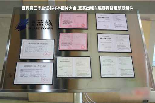 宜宾初三毕业证书样本图片大全,宜宾出租车巡游资格证领取条件