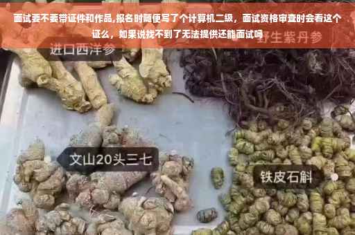 面试要不要带证件和作品,报名时随便写了个计算机二级，面试资格审查时会看这个证么，如果说找不到了无法提供还能面试吗