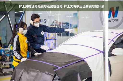 护士资格证号是编号还是管理号,护士大专学历证书编号是什么