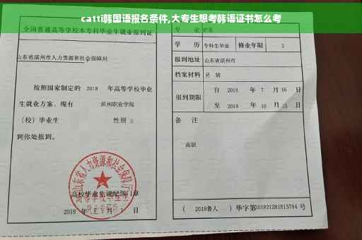 catti韩国语报名条件,大专生想考韩语证书怎么考