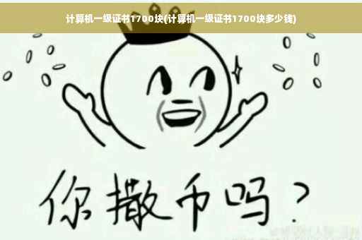 计算机一级证书1700块(计算机一级证书1700块多少钱)