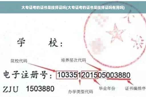 大专证考的证书是技师证吗(大专证考的证书是技师证吗有用吗)