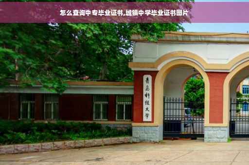 怎么查询中专毕业证书,城镇中学毕业证书图片