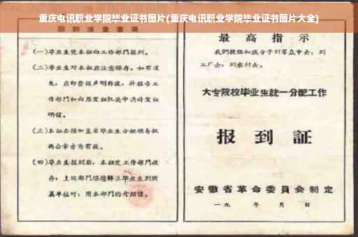 重庆电讯职业学院毕业证书图片(重庆电讯职业学院毕业证书图片大全)
