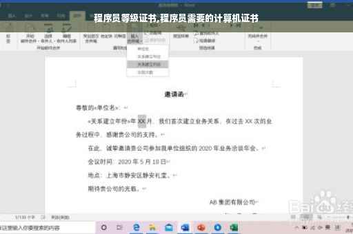 程序员等级证书,程序员需要的计算机证书